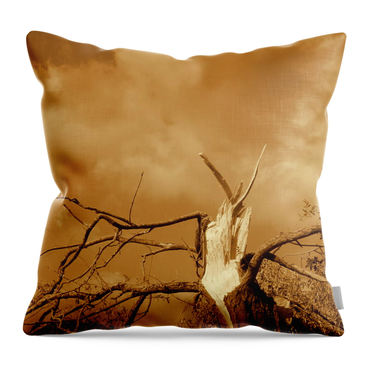 Tree Throw Pillow featuring the photograph Blasted Tree by Elk Man