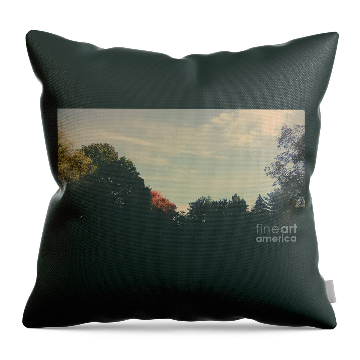 Landscape Throw Pillow featuring the photograph Blessed are the poor in spirit by Frank J Casella