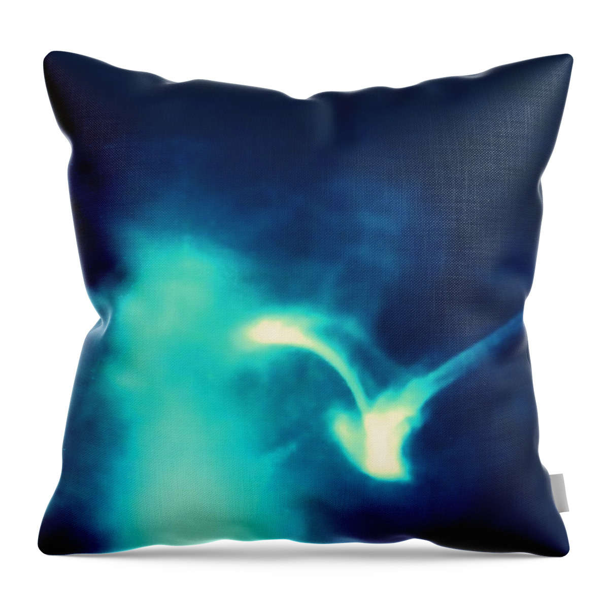 Abstract Throw Pillow featuring the photograph Blinded by the Light by Roberta Byram