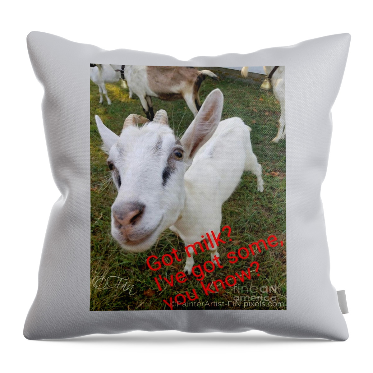 Everything Natural Goat Farm Throw Pillow featuring the photograph Blizzard by PainterArtist FIN