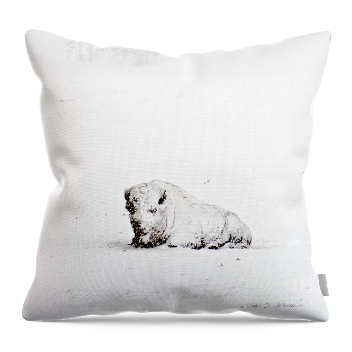 Landscape Throw Pillow featuring the photograph Blizzard Winter Buffalo by Craig J Satterlee