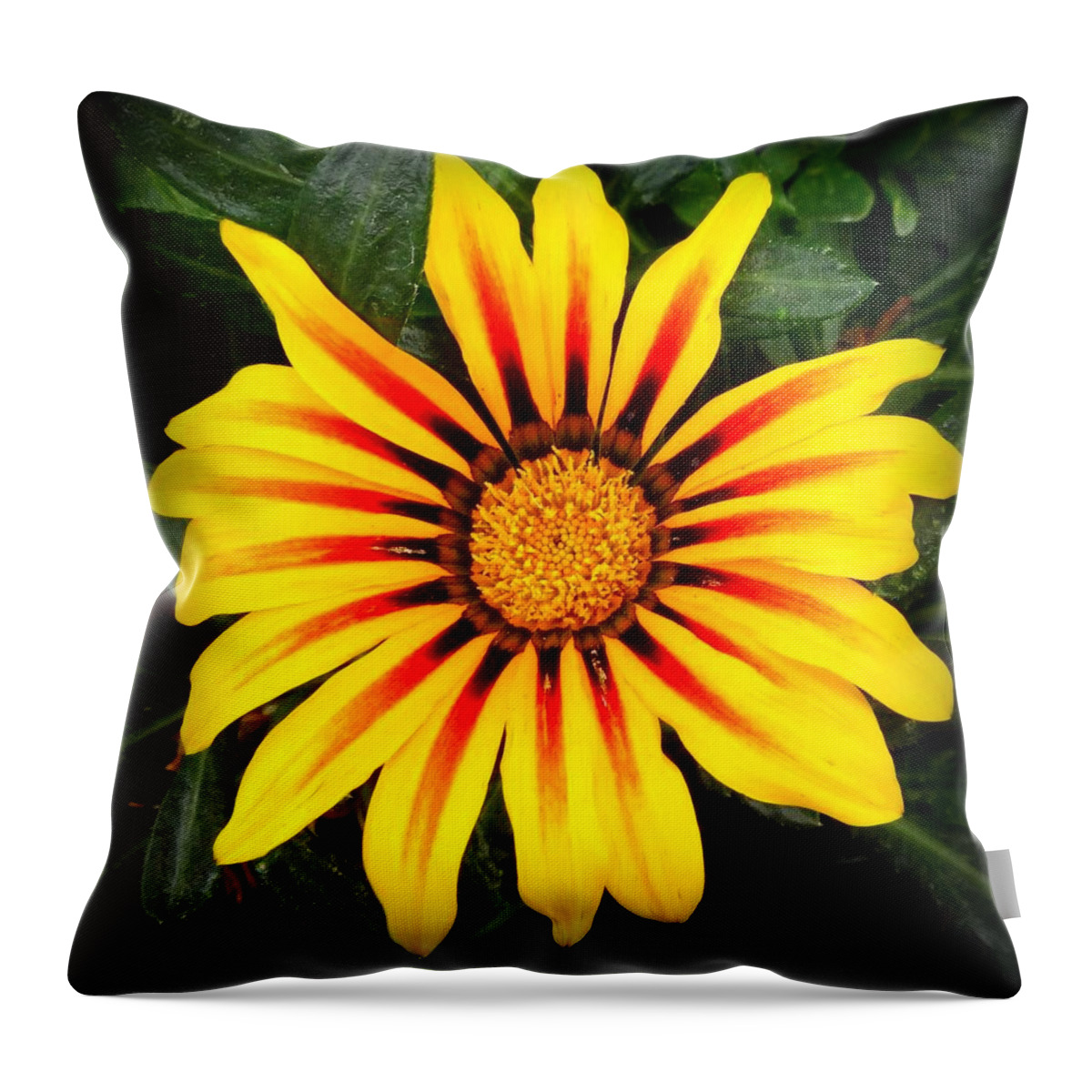 Flower Throw Pillow featuring the photograph Bloom by Donna Spadola