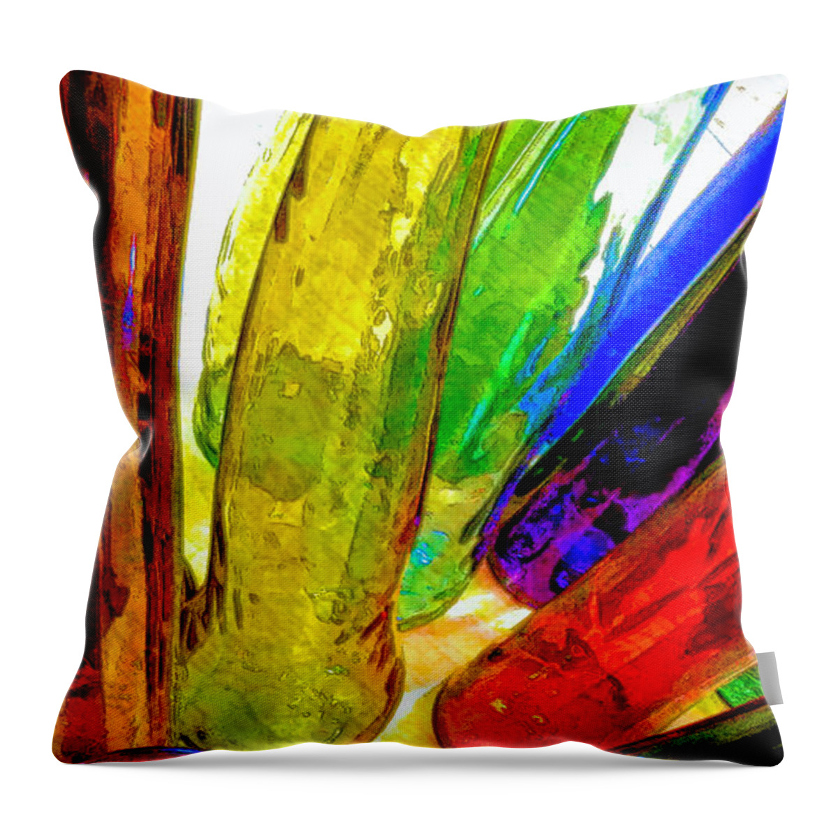 Bloom In Glass Throw Pillow featuring the photograph Bloom In Glass #2 by James Stoshak