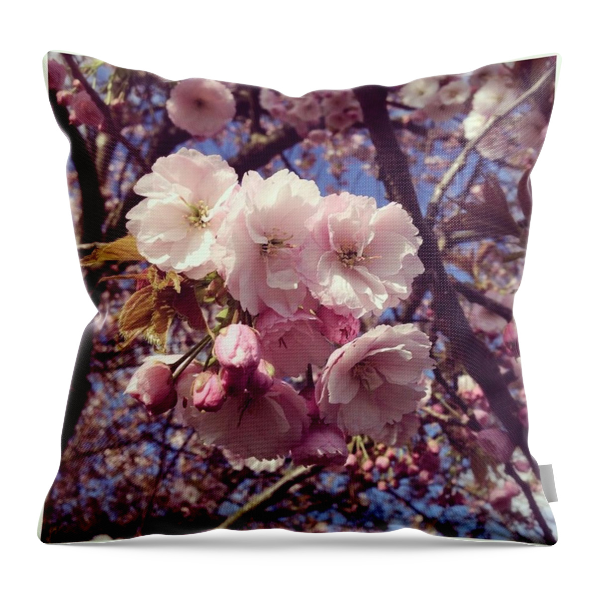 Pink Throw Pillow featuring the photograph 💛blooming Beautiful💛
#spring by Mostly Victoria