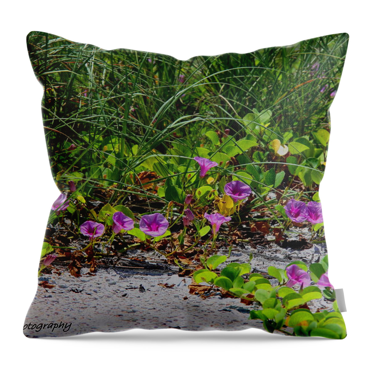 Cross Vines Throw Pillow featuring the photograph Blooming Cross Vines along the beach by Barbara Bowen