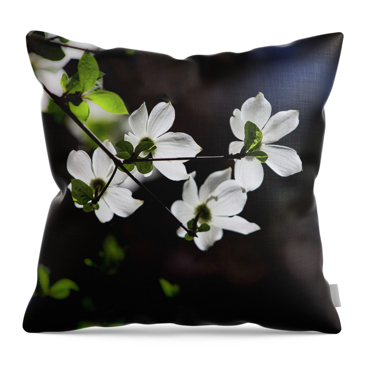 Yosemite Throw Pillow featuring the photograph Blooming Dogwoods in Yosemite 4 by Larry Marshall