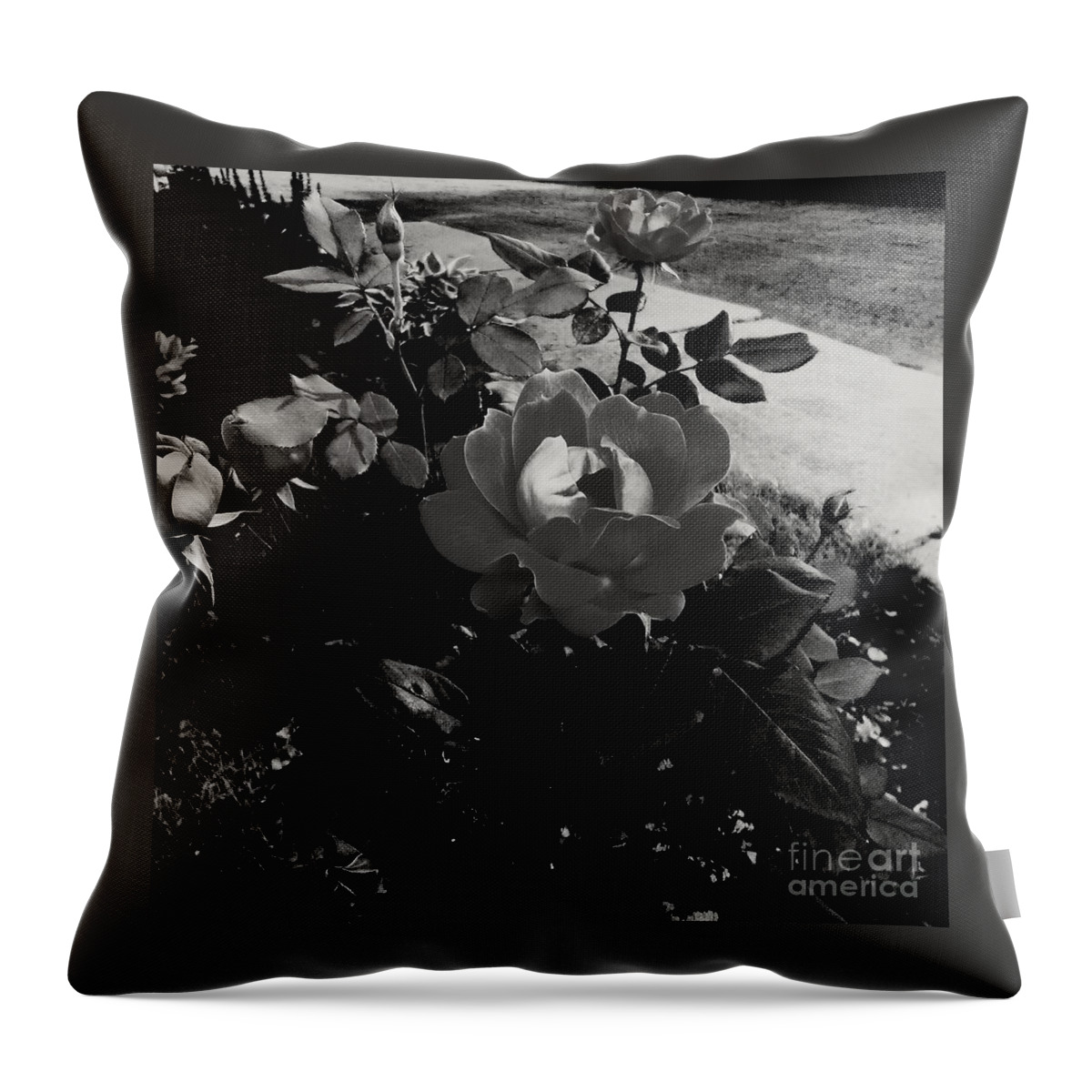 Flower Throw Pillow featuring the photograph Blooming Flower in Black and White by Frank J Casella