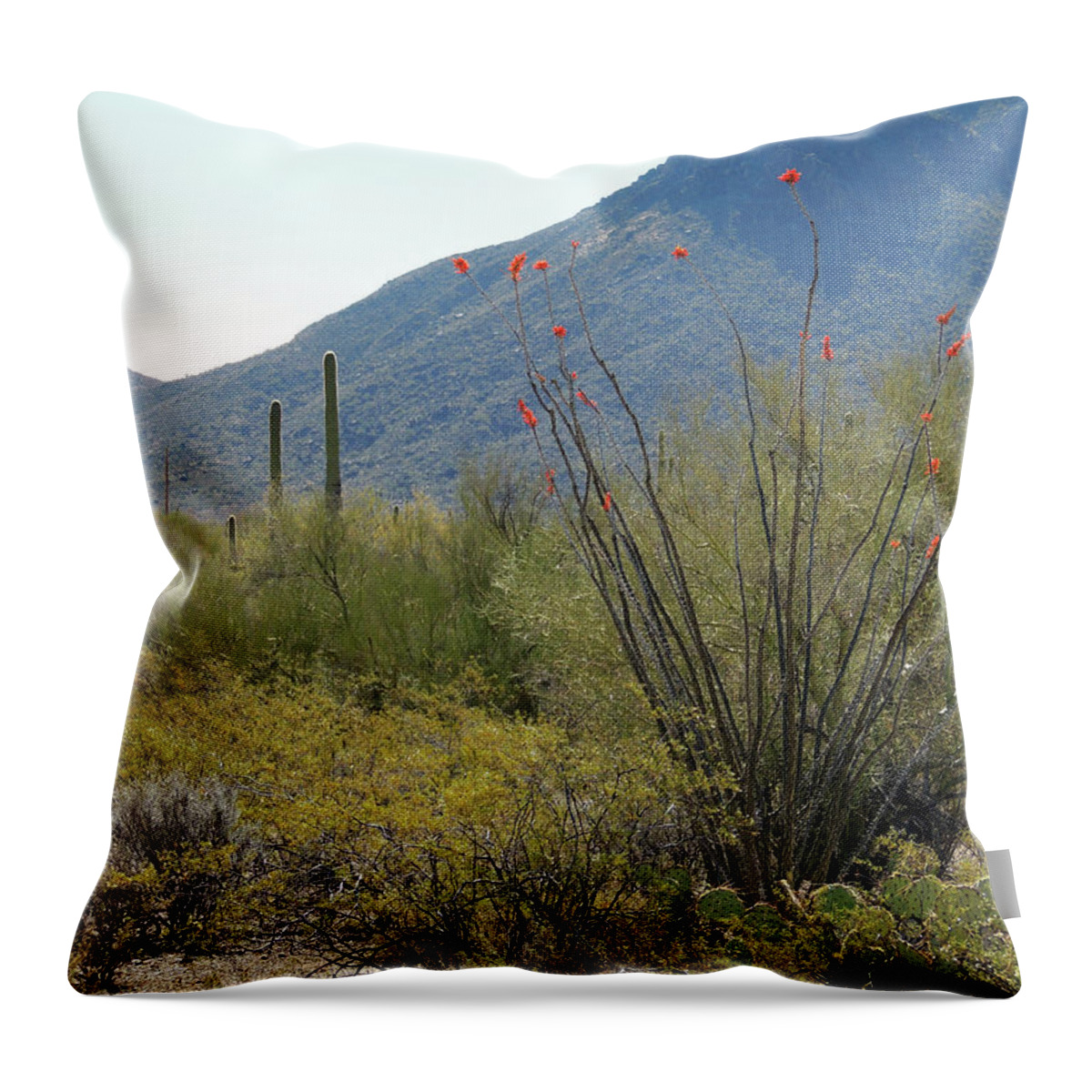 Blooming Throw Pillow featuring the photograph Blooming Ocotillo by Gordon Beck