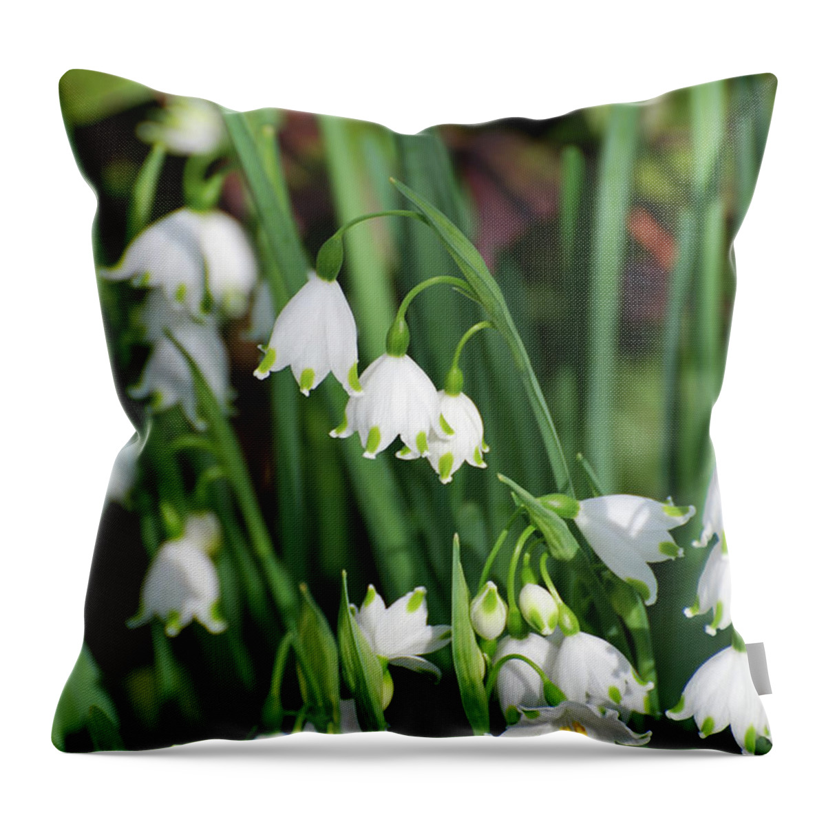 Flower Throw Pillow featuring the photograph Blooming Snow Drop Lily Flowers in the Wild by DejaVu Designs