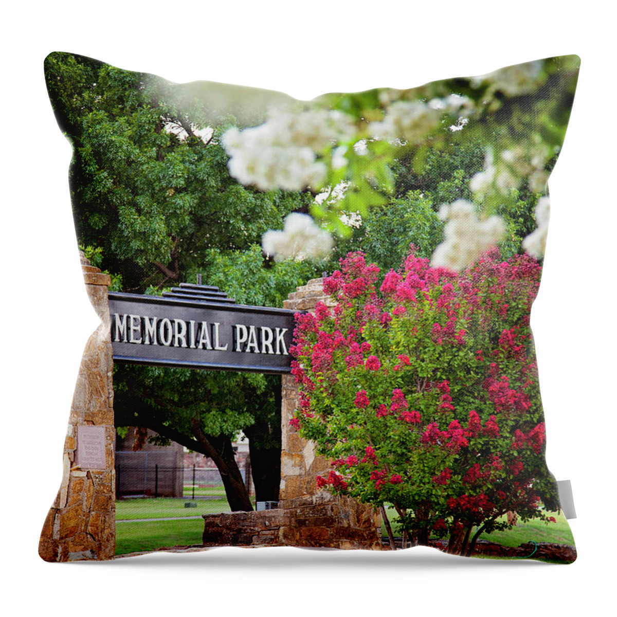 Park Throw Pillow featuring the photograph Blooms in Memorial Park by Toni Hopper