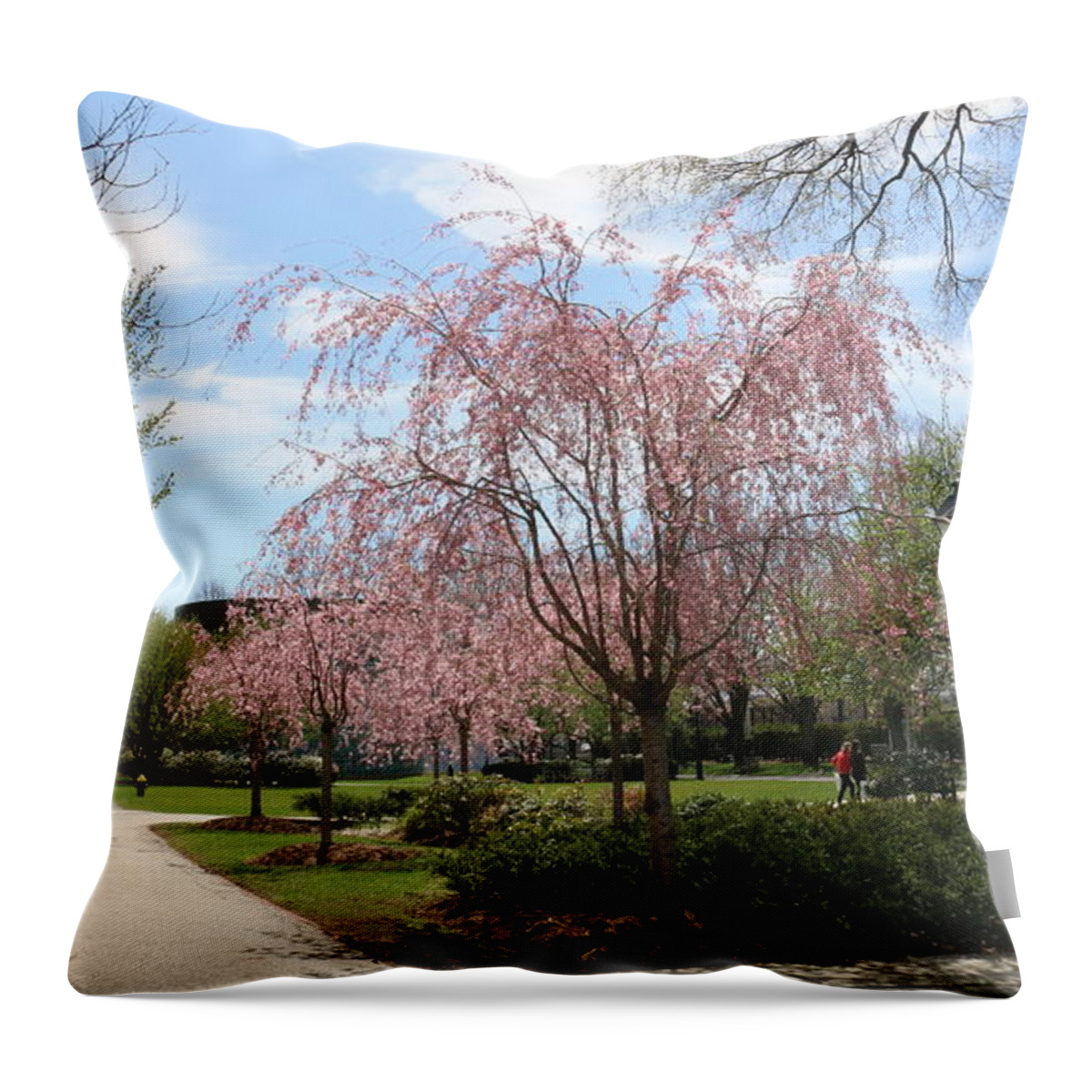 Blossom At Harvard Business School Throw Pillow featuring the photograph Blossom at Harvard Business School by Qin Wang