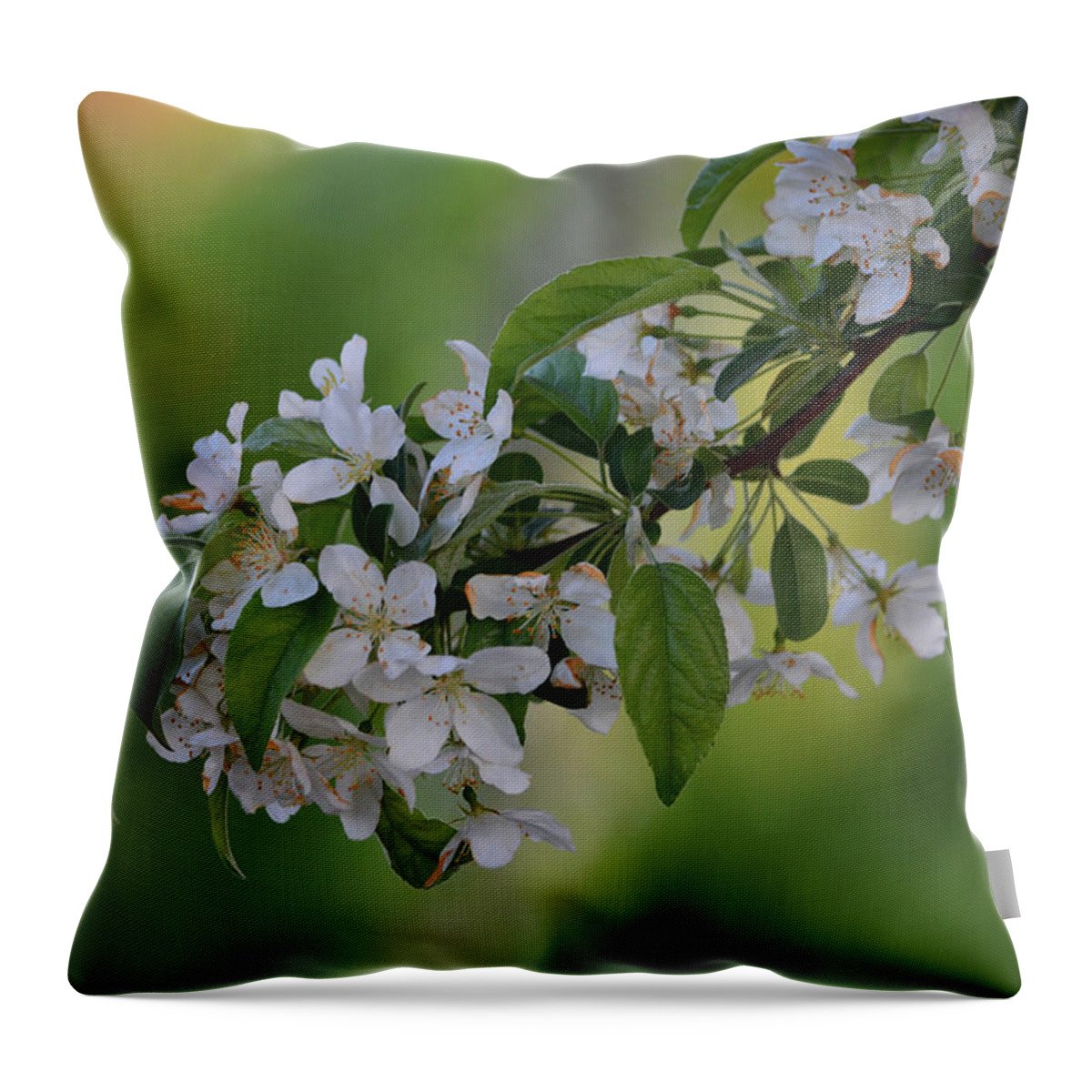 Apple Blossom Throw Pillow featuring the photograph Blossom in Frankenmuth by Richard Andrews