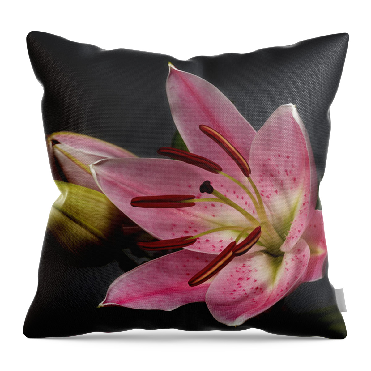 Blossom Throw Pillow featuring the photograph Blossoming Pink Lily Flower on dark Background by Sergey Taran