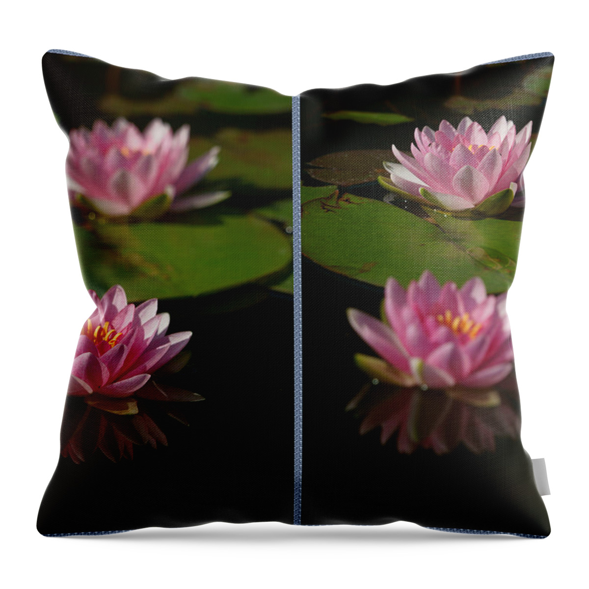 Bloom Throw Pillow featuring the photograph Blossoms and Lily Pads 6 by Dimitry Papkov