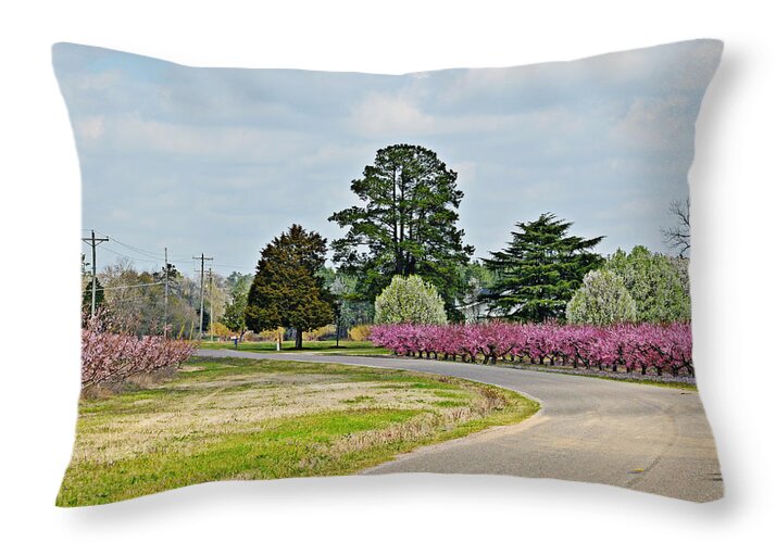 Flowers Throw Pillow featuring the photograph Blossoms Everywhere by Linda Brown