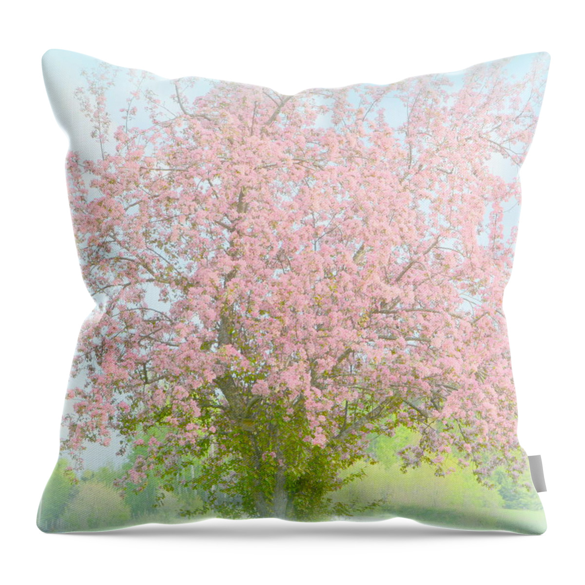 Blossom Throw Pillow featuring the photograph Blossoms by Kimberly Woyak