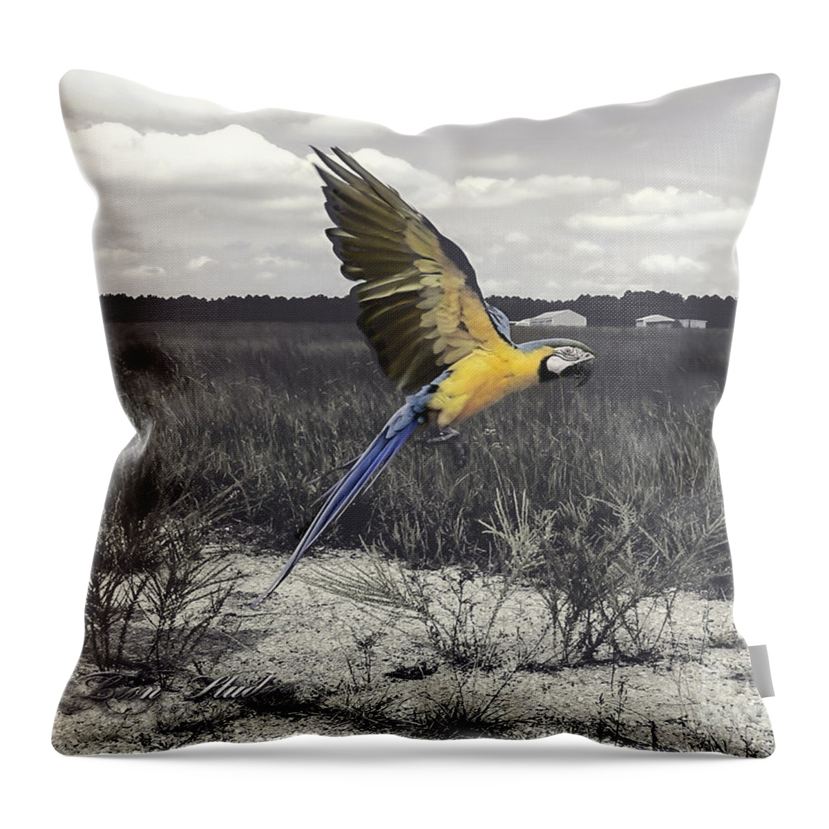 Photoshop Throw Pillow featuring the photograph Blue And Gold Macaw by Melissa Messick