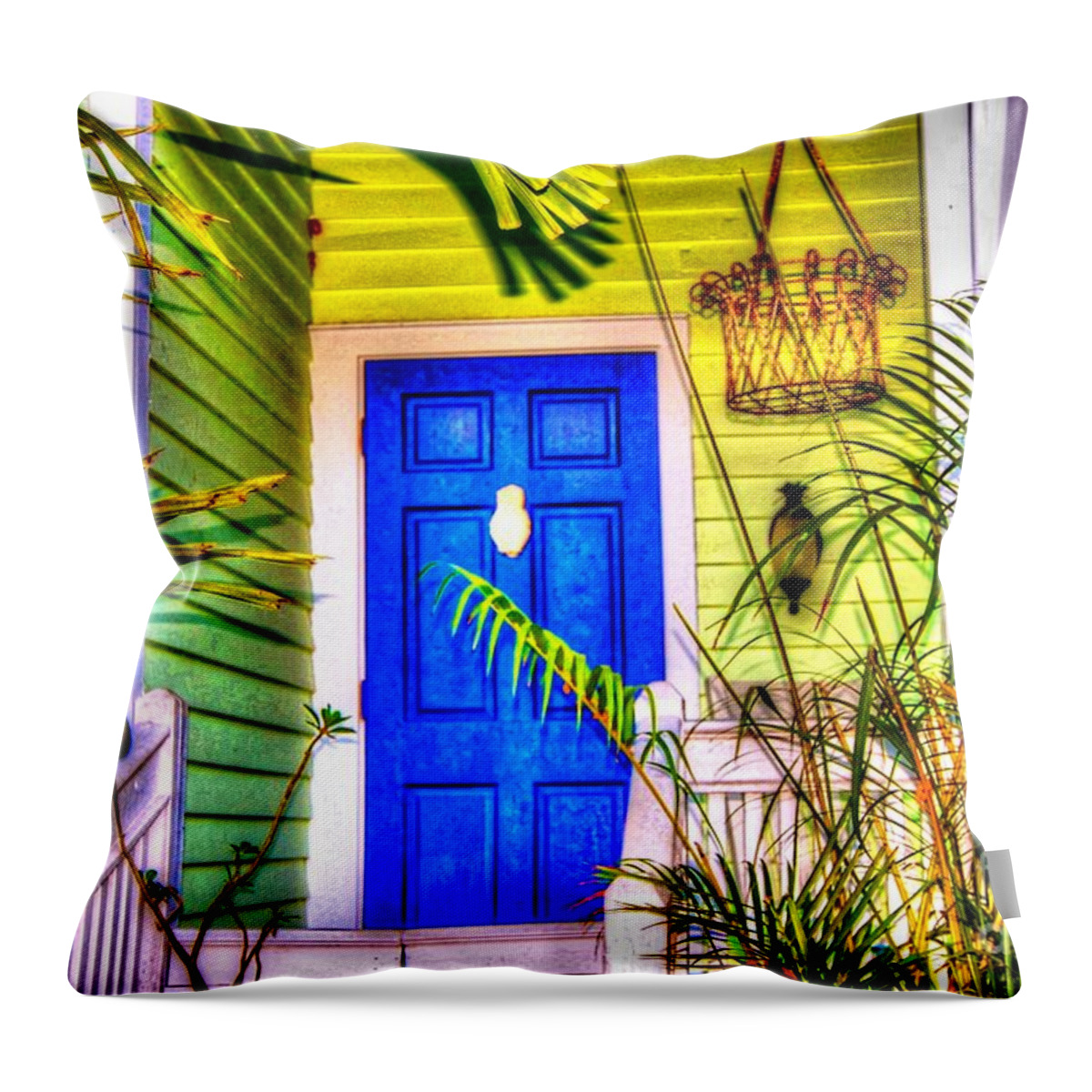 Door Throw Pillow featuring the photograph Blue and Green by Debbi Granruth