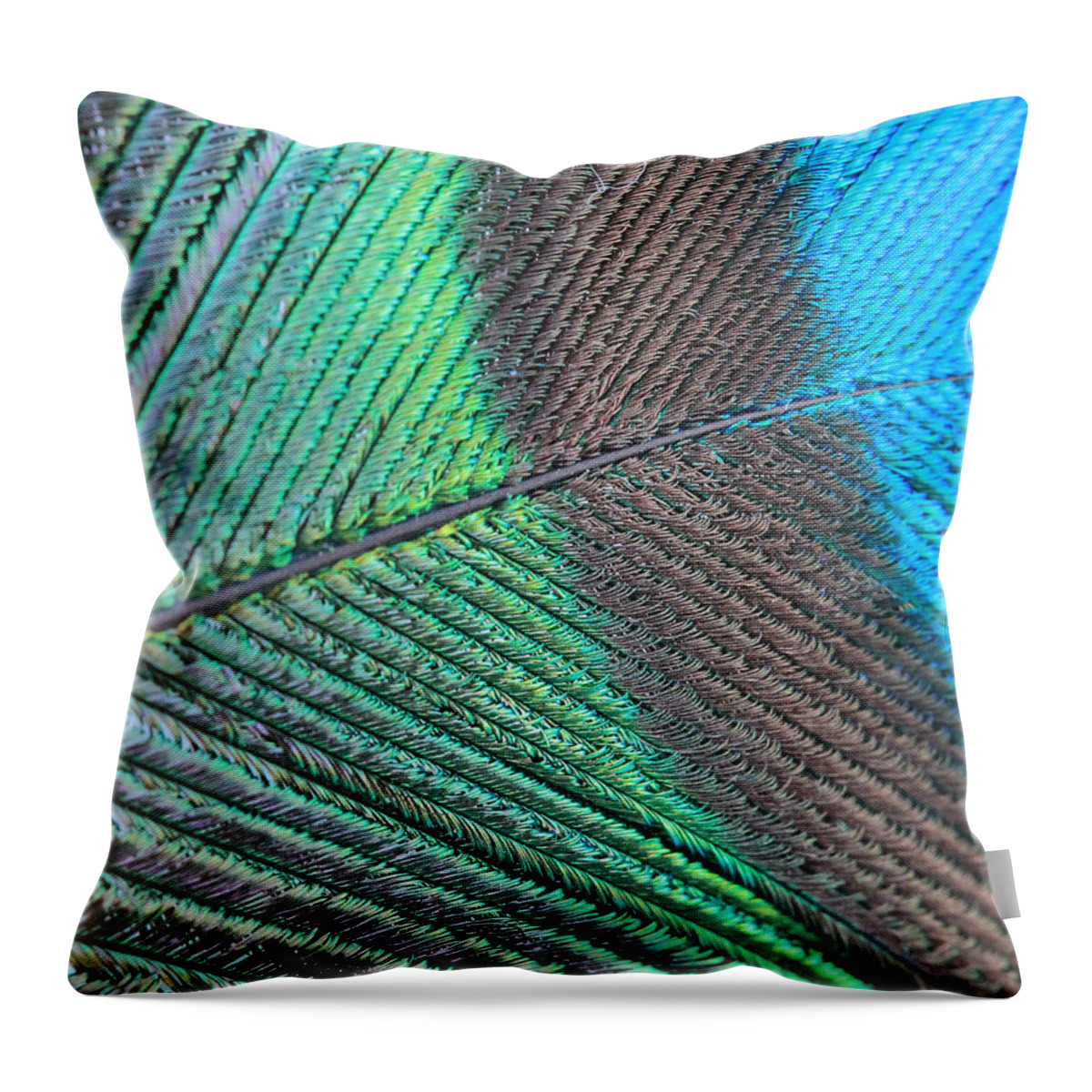 Peacock Throw Pillow featuring the photograph Blue And Green Feathers by Angela Murdock