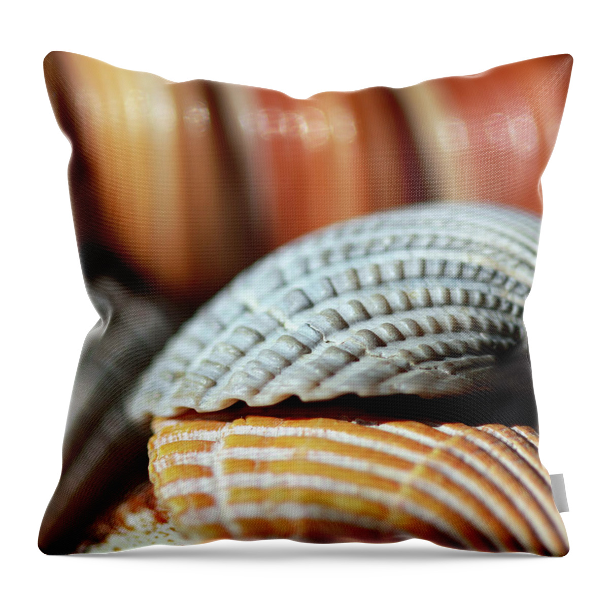 Seashells Throw Pillow featuring the photograph Blue and Orange Seashells by Angela Murdock