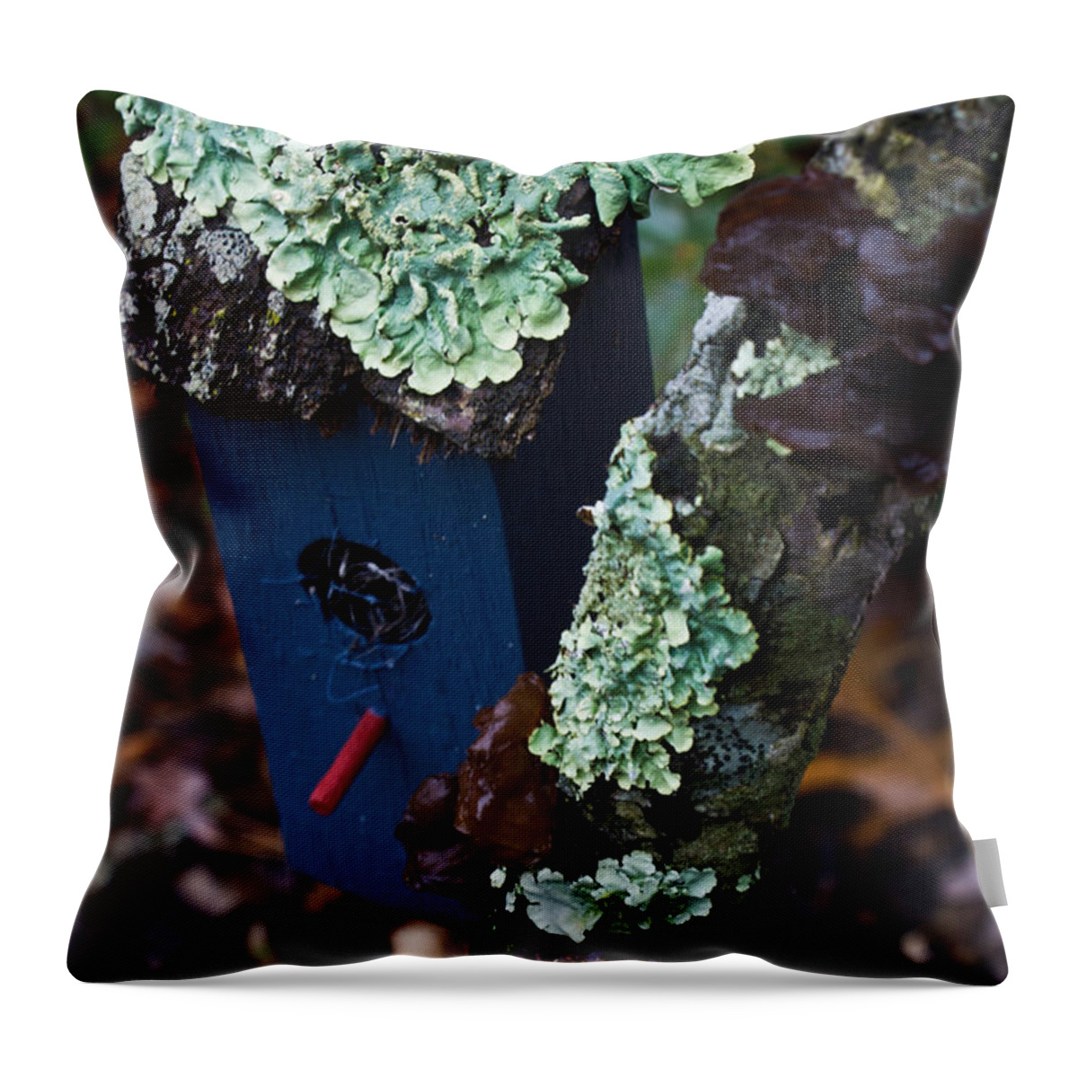 Blue Throw Pillow featuring the photograph Blue Birdhouse and Lichen by Douglas Barnett
