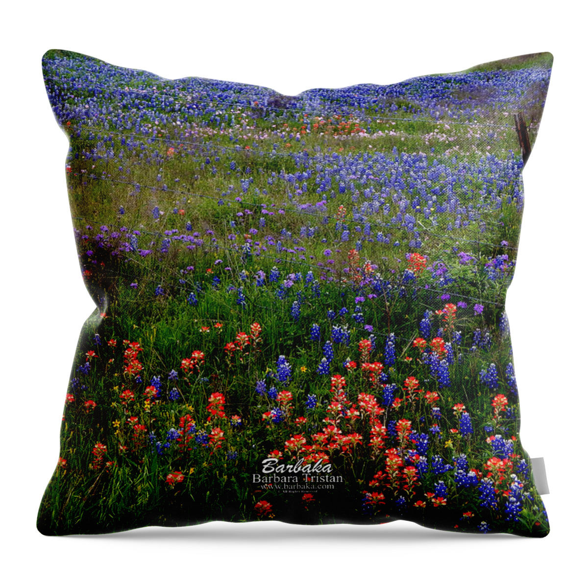 Texas Throw Pillow featuring the photograph Bluebonnets #0487 by Barbara Tristan