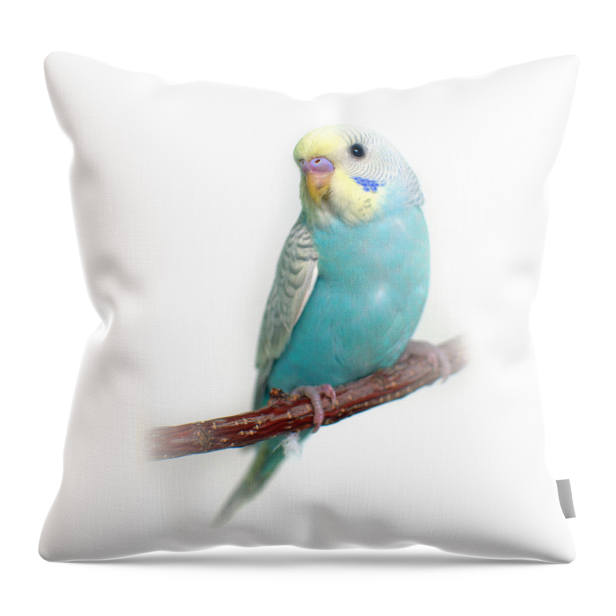 Budgie Throw Pillow featuring the photograph Blue Budgie Baby by Nathan Abbott