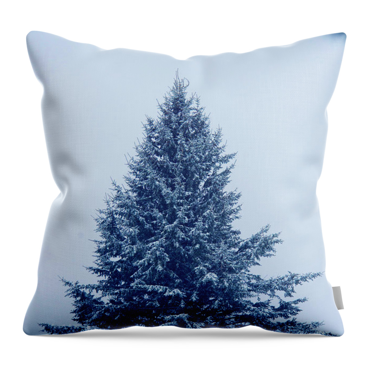Blue Christmas Throw Pillow featuring the photograph Blue Christmas Tree by Alana Ranney