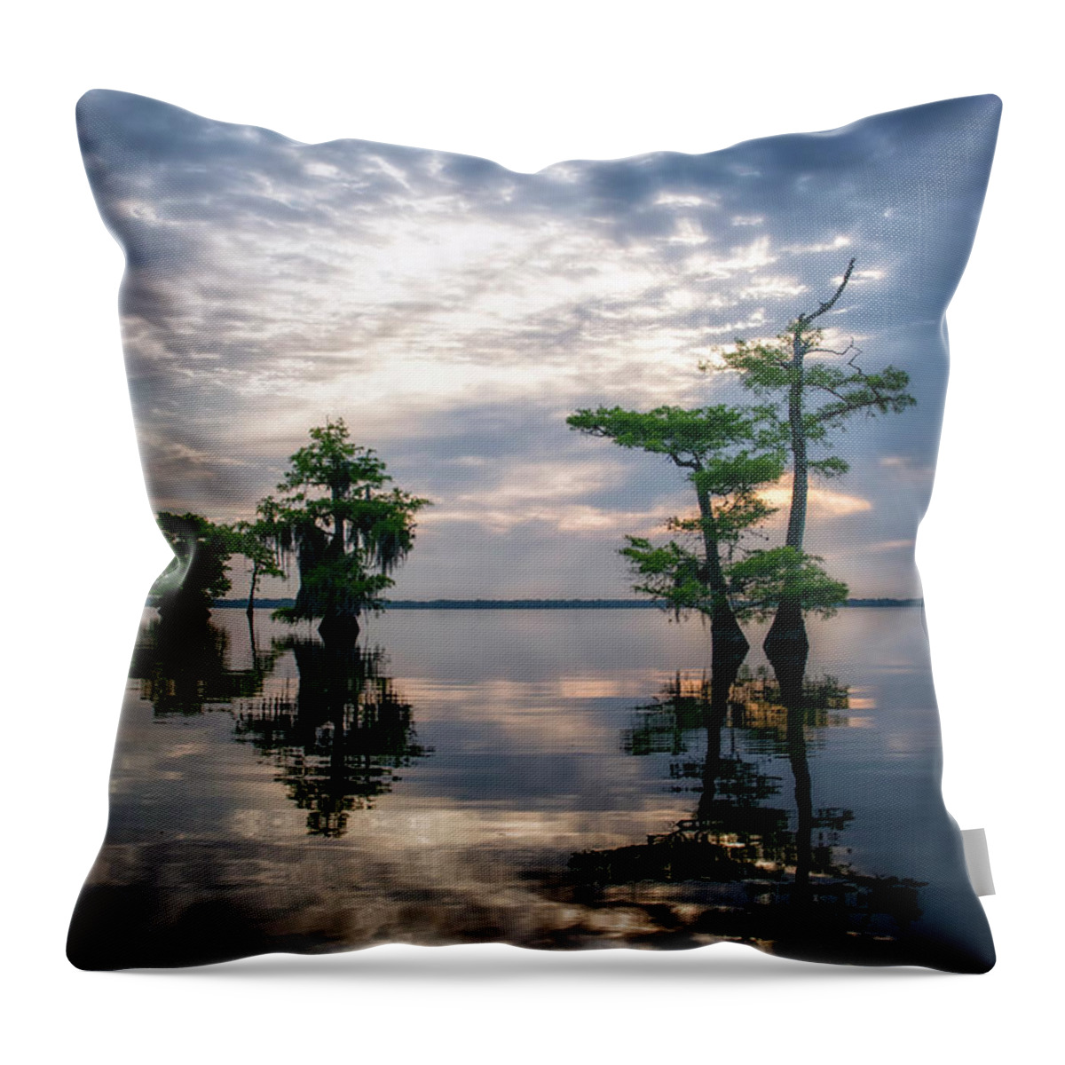 Crystal Yingling Throw Pillow featuring the photograph Blue Cypress Sunrise #1 by Ghostwinds Photography