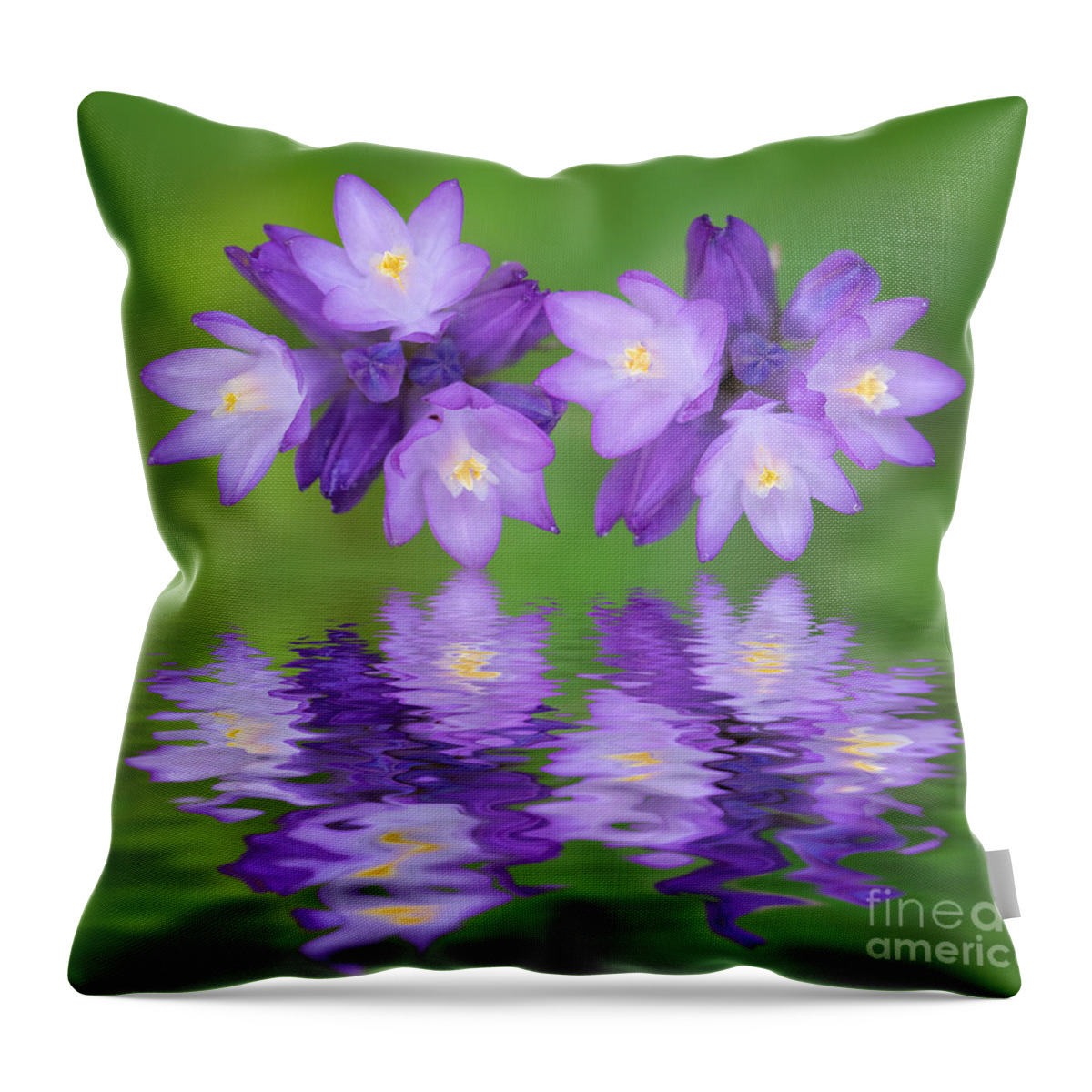 Flowers Throw Pillow featuring the photograph Blue Dick Wildflowers and Reflections by Mimi Ditchie