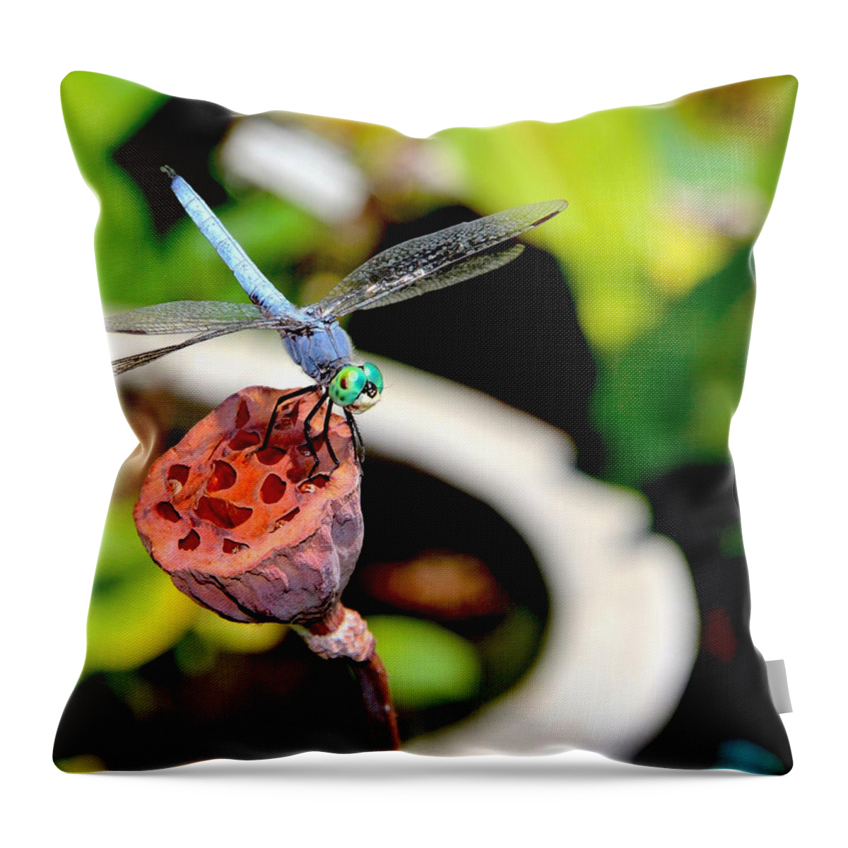 Insect Throw Pillow featuring the photograph Blue Dragonfly on Lotus Seed Pod by Deanne Rotta