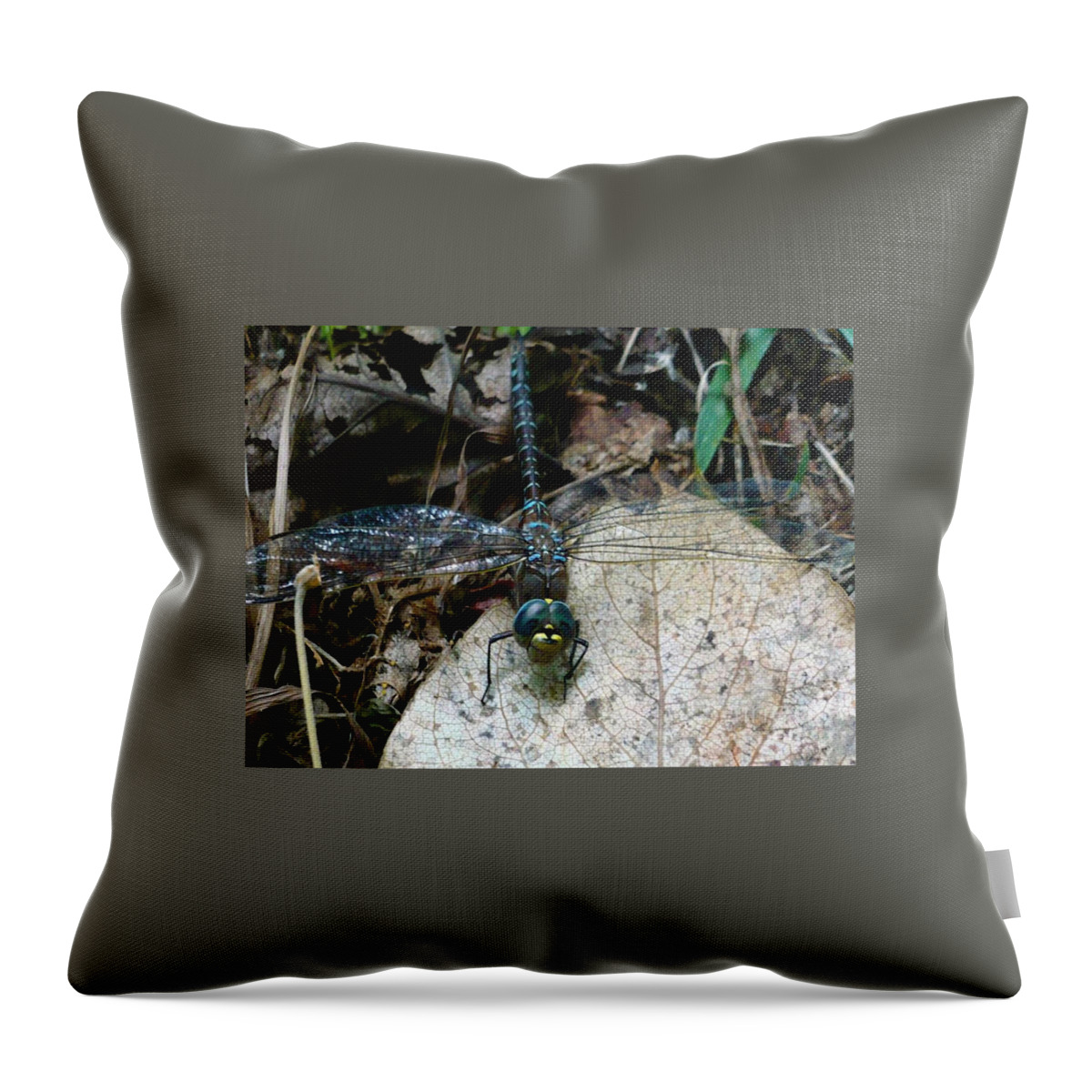 Blue Throw Pillow featuring the photograph Blue Dragonfly by 'REA' Gallery