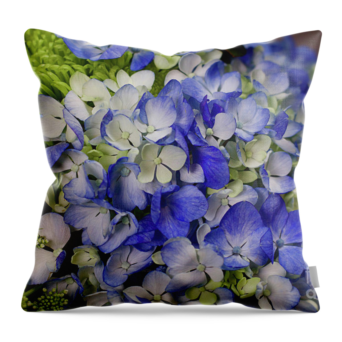 Digital Photography Throw Pillow featuring the photograph Blue dreams by Afrodita Ellerman