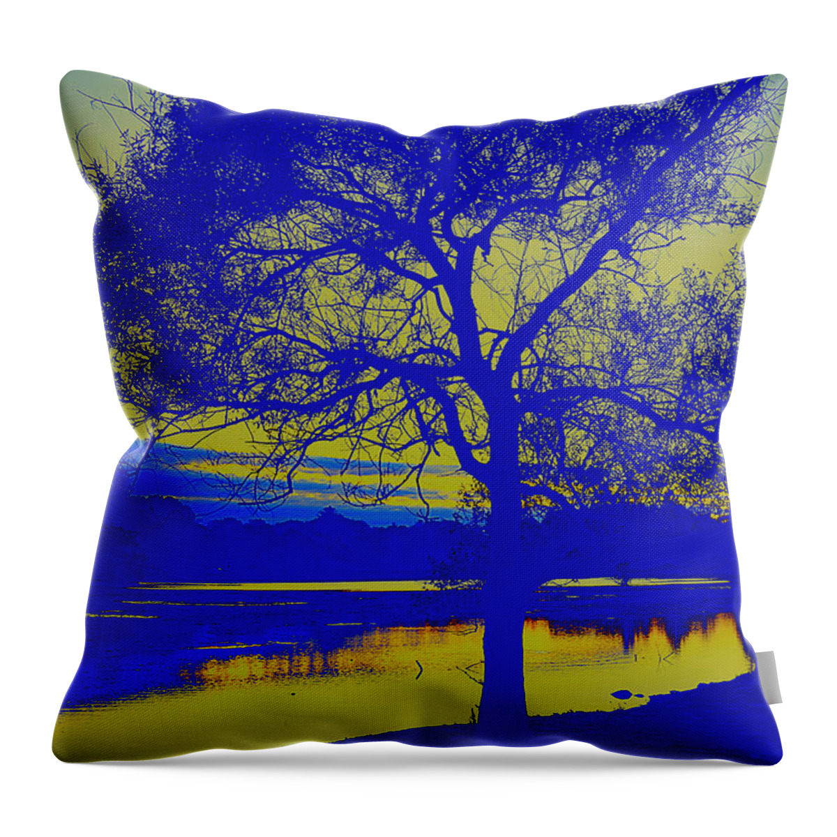 Outside Throw Pillow featuring the photograph Blue Dusk by Kate Arsenault 