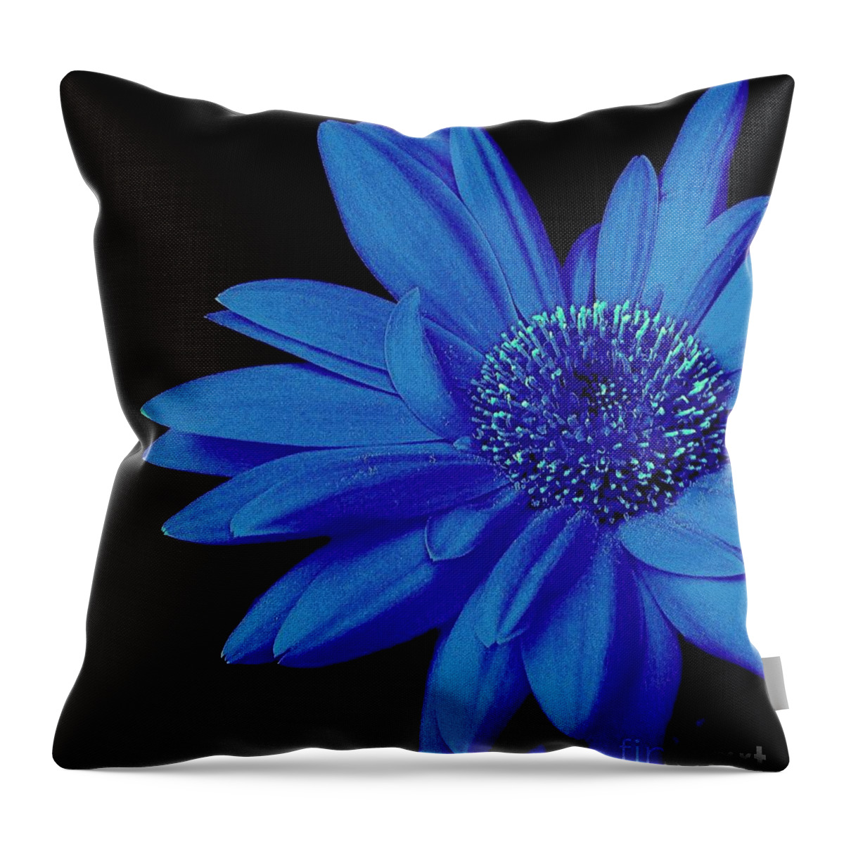 Blue Throw Pillow featuring the photograph Blue by Elfriede Fulda