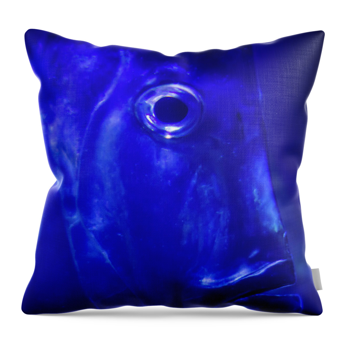 Fish Throw Pillow featuring the photograph Blue Fish by Jeff Phillippi