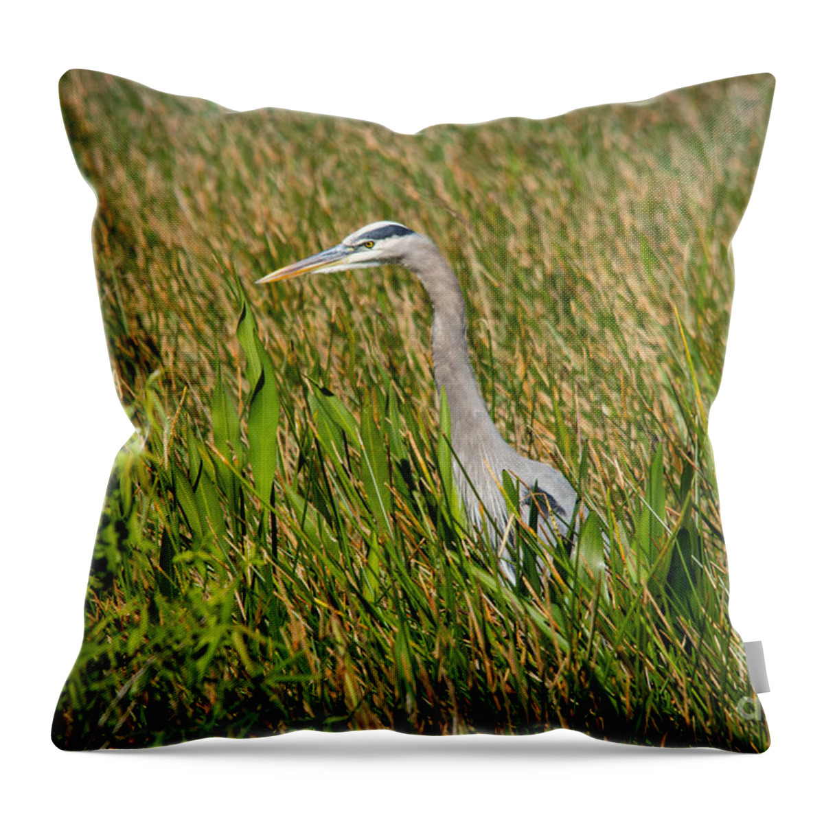 America Throw Pillow featuring the photograph Blue Heron by Amanda Mohler