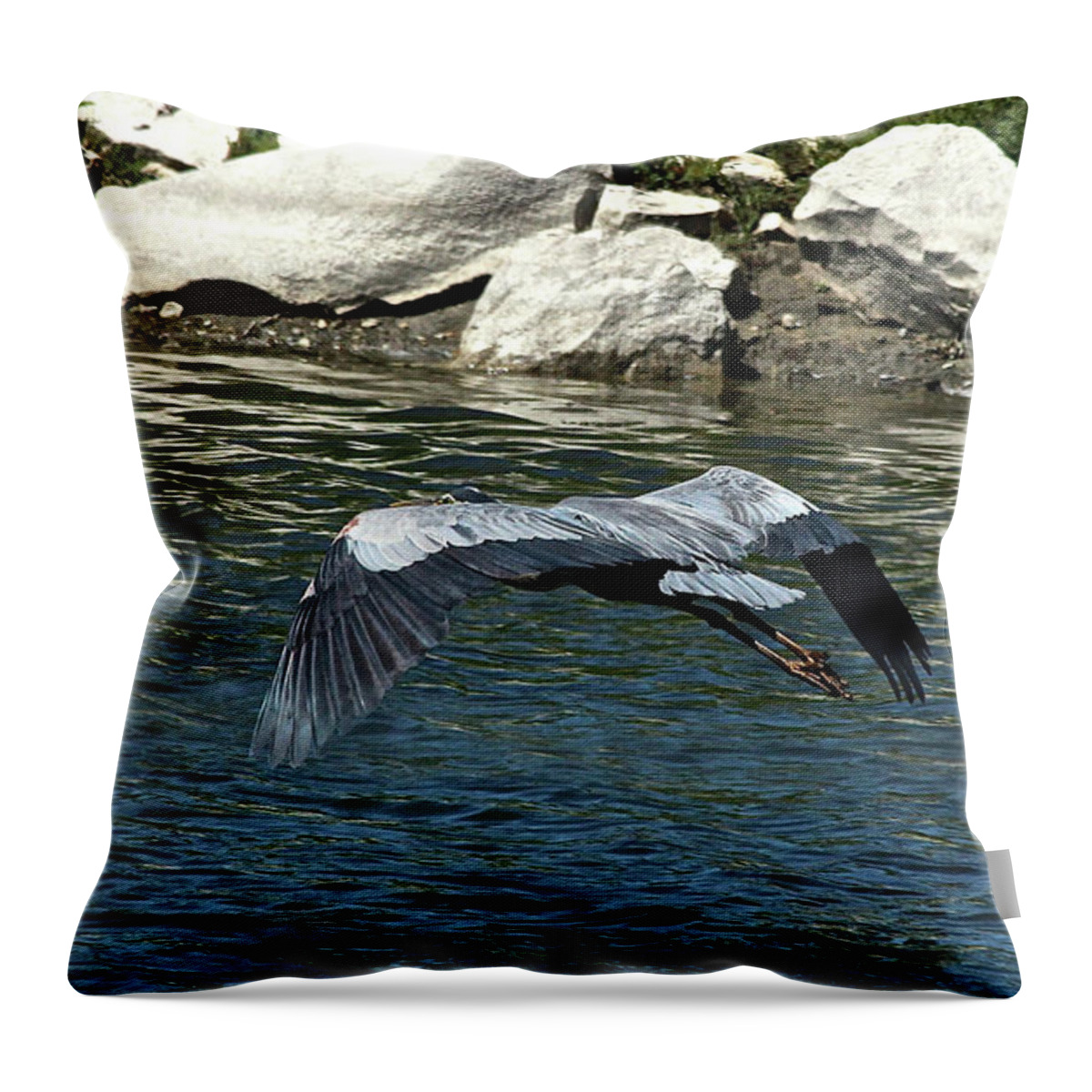 Blue Heron Throw Pillow featuring the photograph Blue Heron by Ann E Robson
