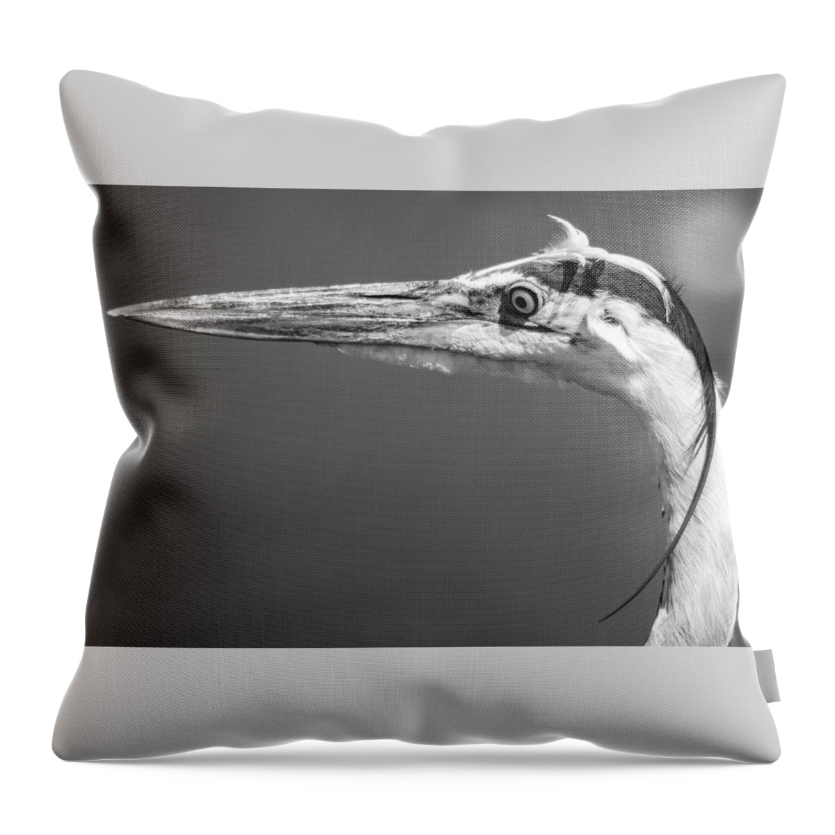 Blue Throw Pillow featuring the photograph Blue Heron by David Hart