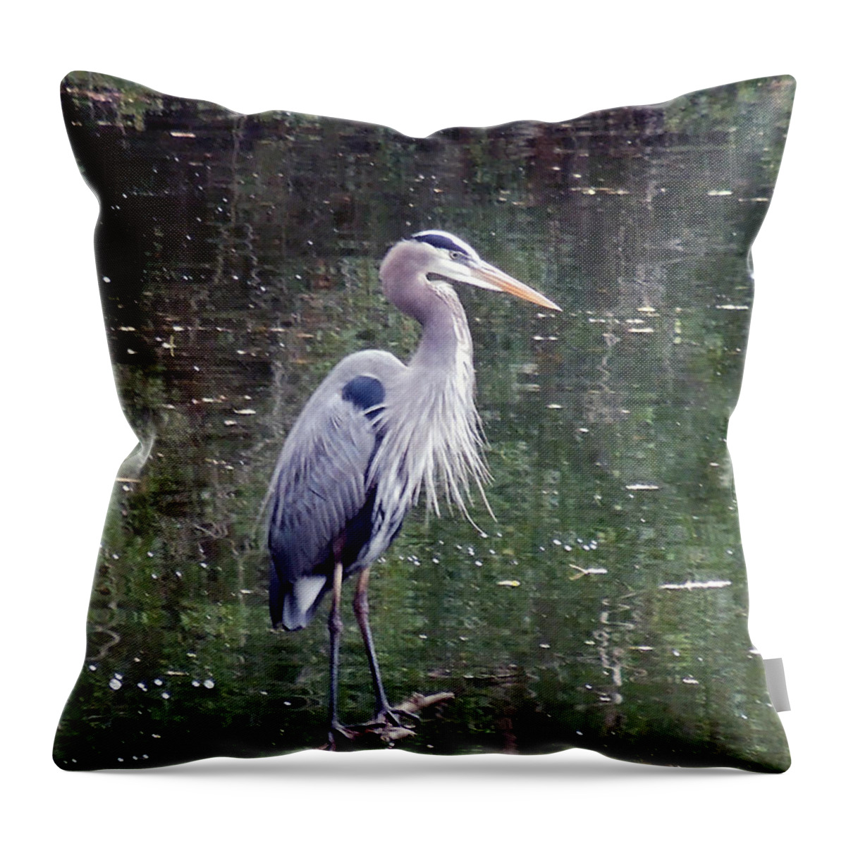Blue Heron Throw Pillow featuring the photograph Blue Heron Fishing by Don Wright