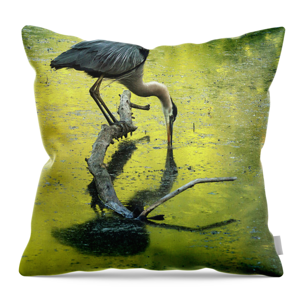 Blue Heron Throw Pillow featuring the photograph Blue Heron Reflection by Rob Blair