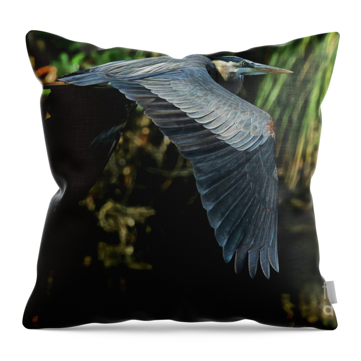 Heron Throw Pillow featuring the photograph Blue Heron Series The Pond by Deborah Benoit