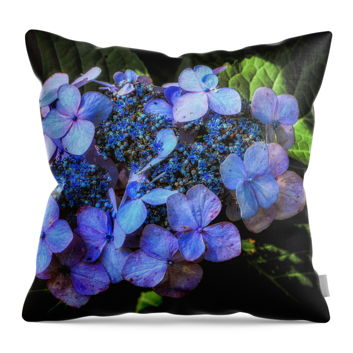 Flowers Throw Pillow featuring the photograph Blue In Nature by Elaine Malott