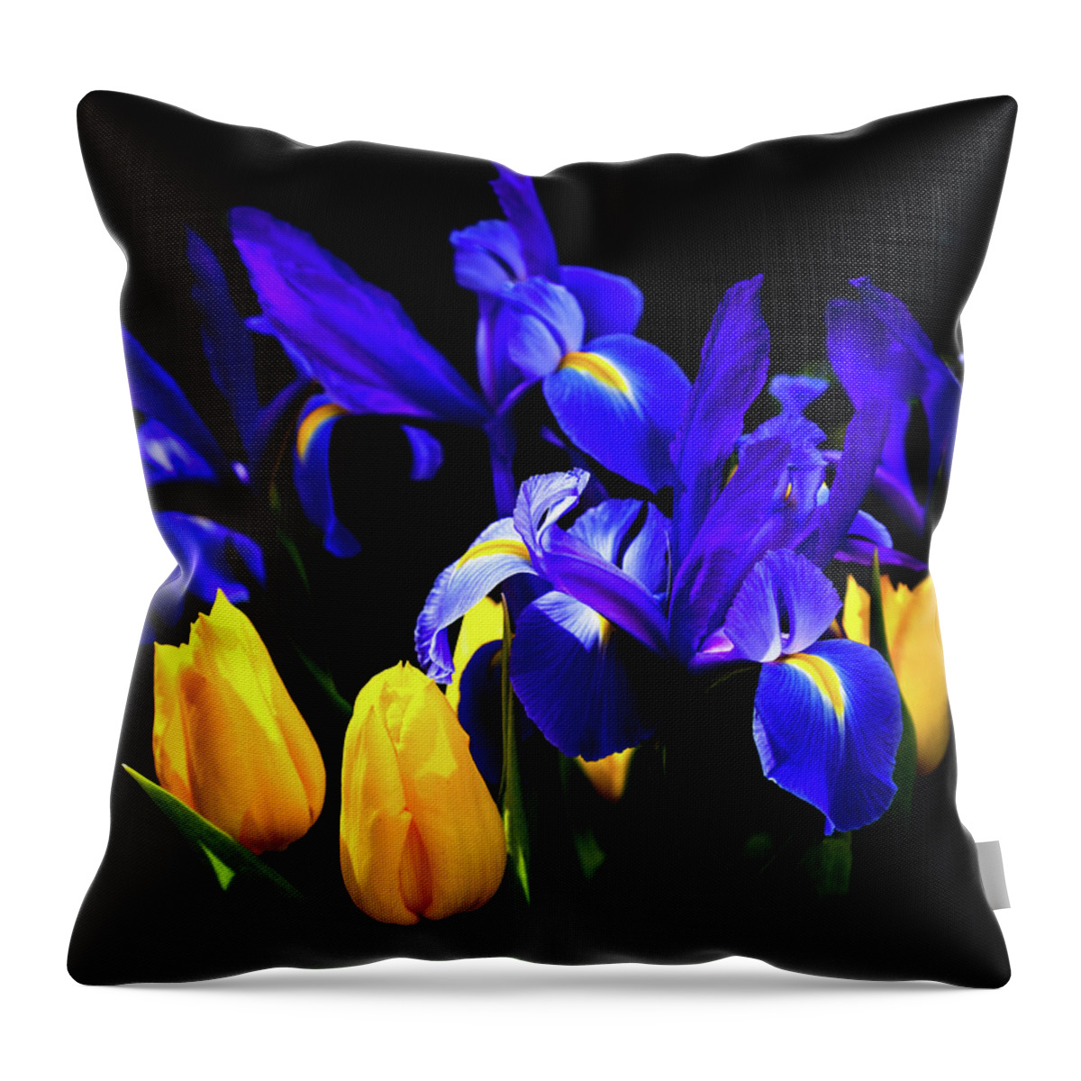 Blue Iris Throw Pillow featuring the photograph BLUE IRIS WALTZ by KAREN WILES by Karen Wiles
