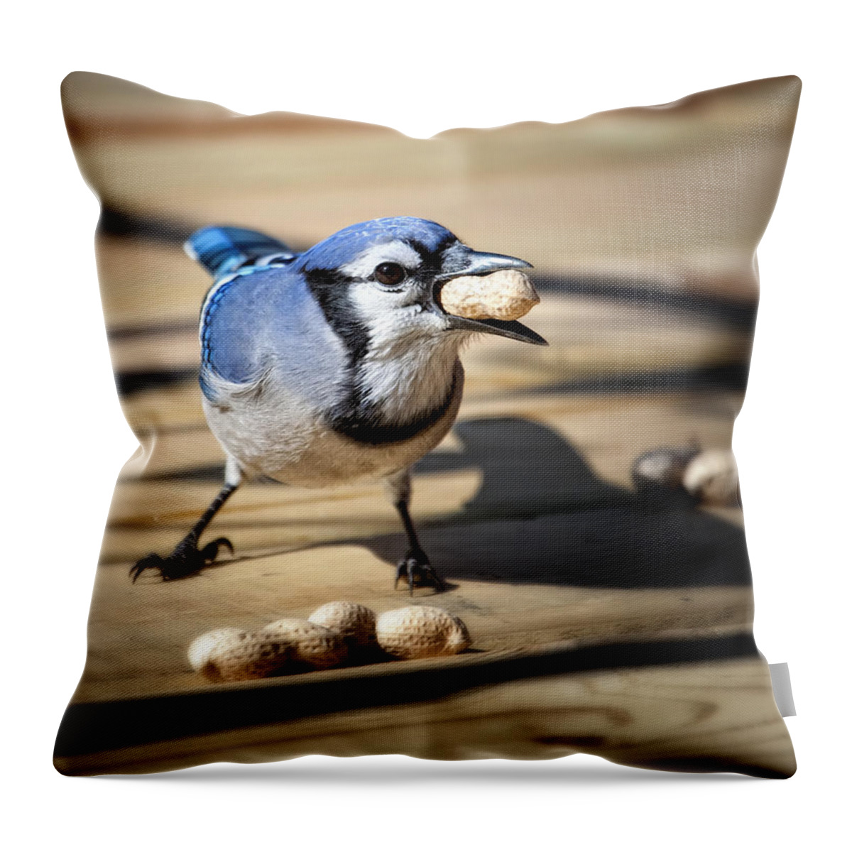 Blue Jay Throw Pillow featuring the photograph Blue Jay eating a Peanut by Al Mueller