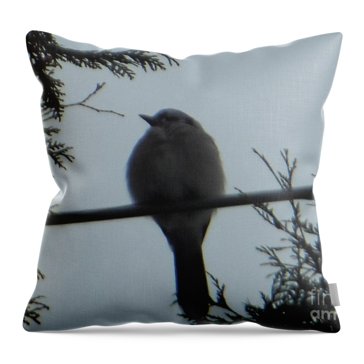 Blue Jay Throw Pillow featuring the photograph Blue Jay on Wire by Rockin Docks Deluxephotos