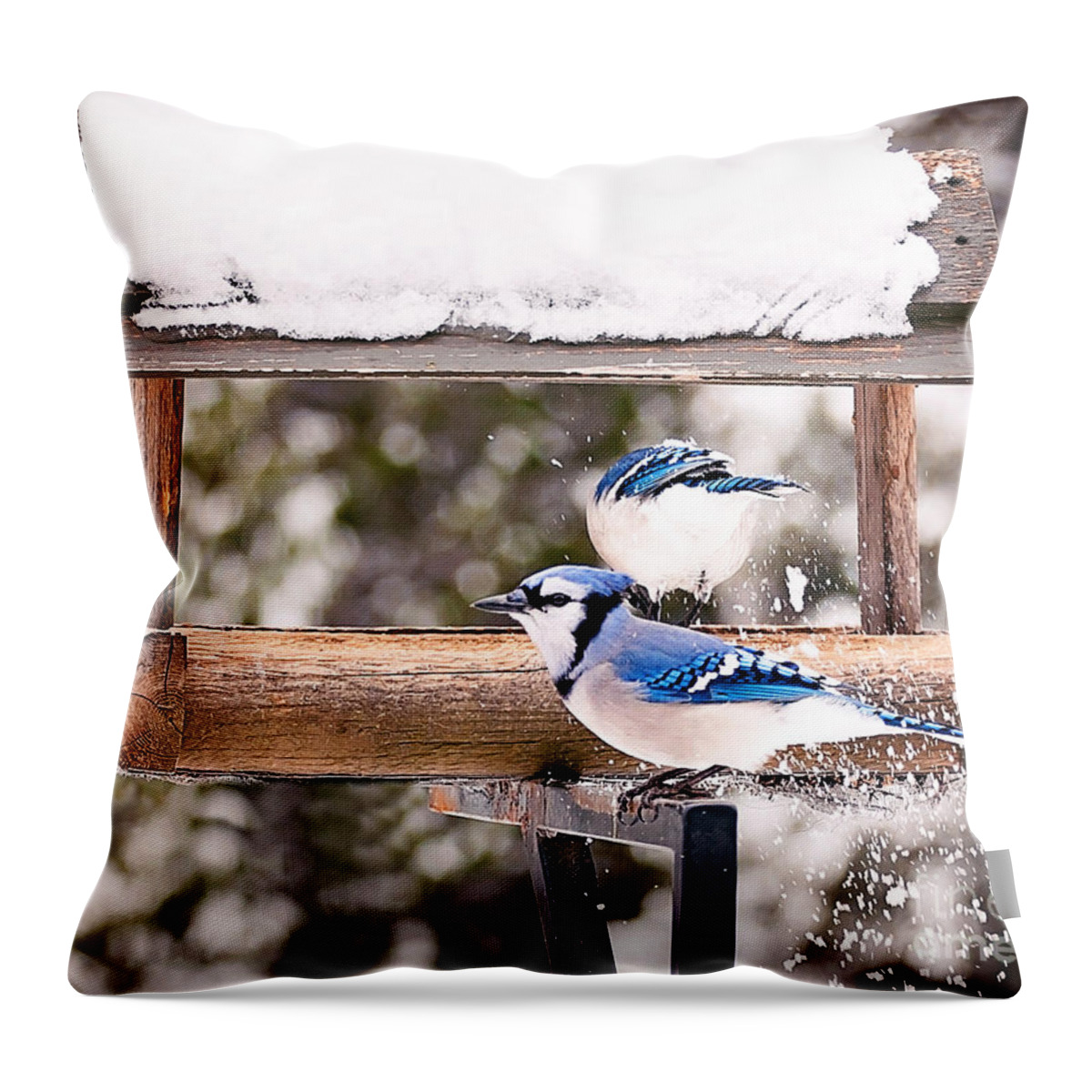 Blue Jays Throw Pillow featuring the photograph Blue Jays in Winter by Gwen Gibson