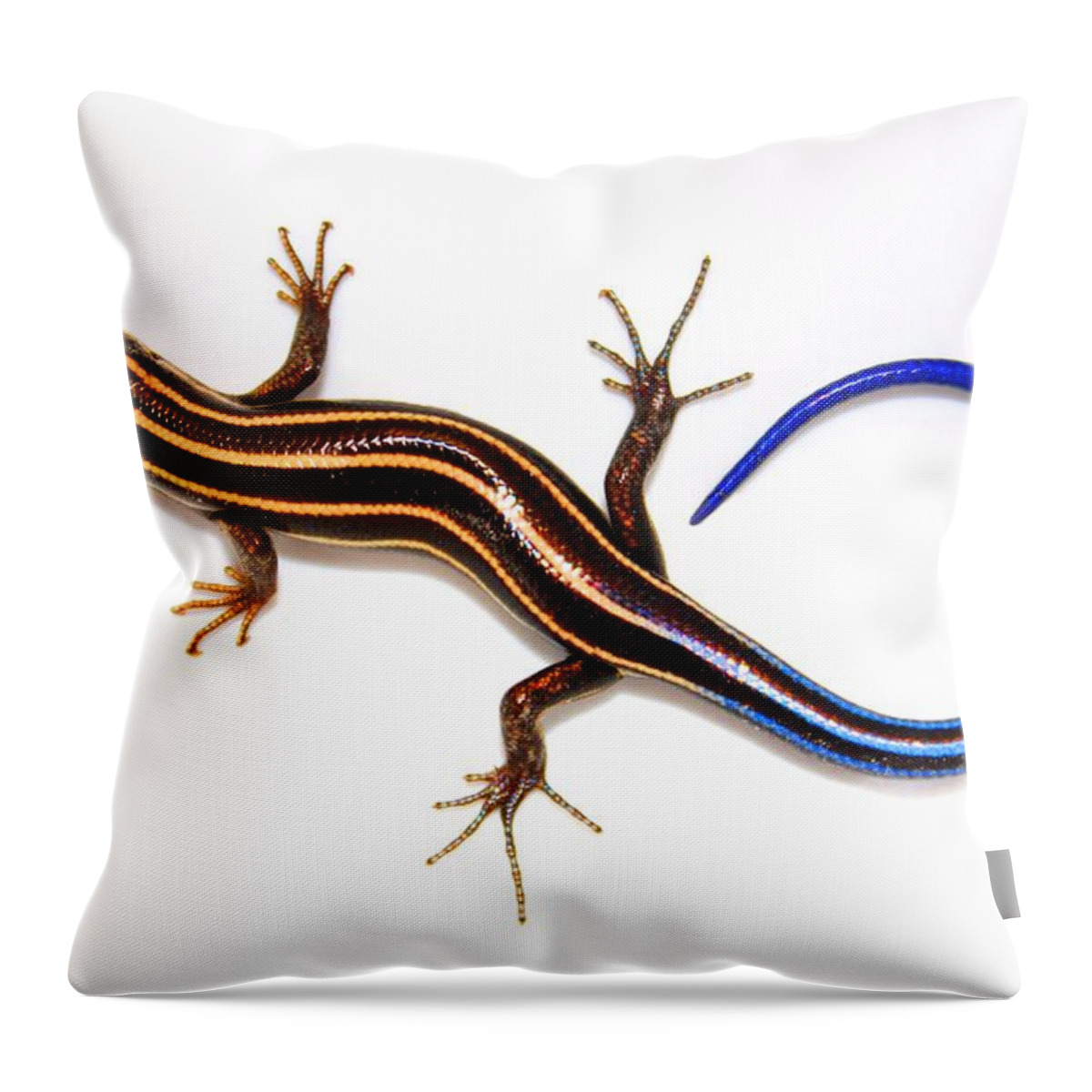 Landscape Throw Pillow featuring the photograph Blue Lizard by Morgan Carter