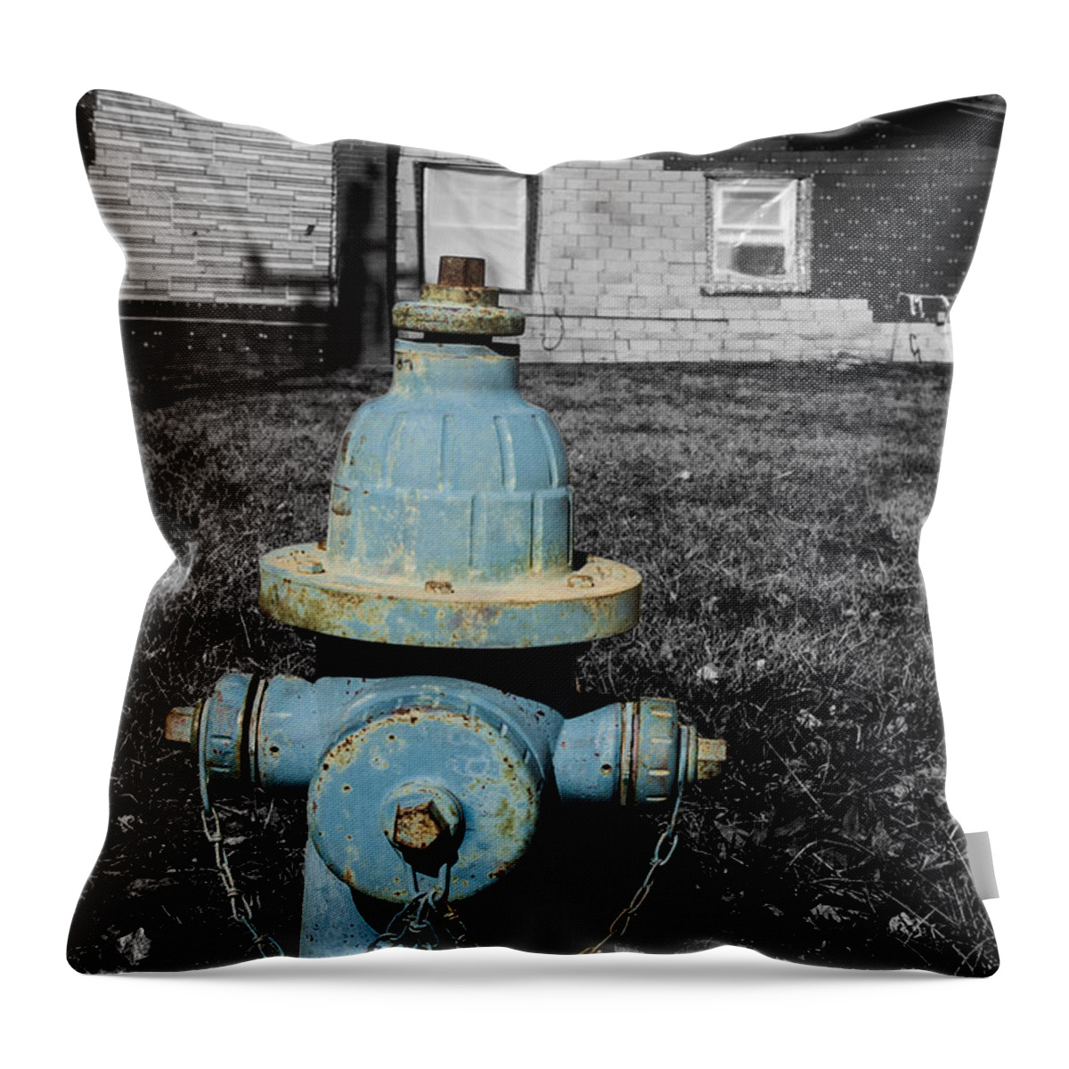  Throw Pillow featuring the photograph Blue by Melissa Newcomb