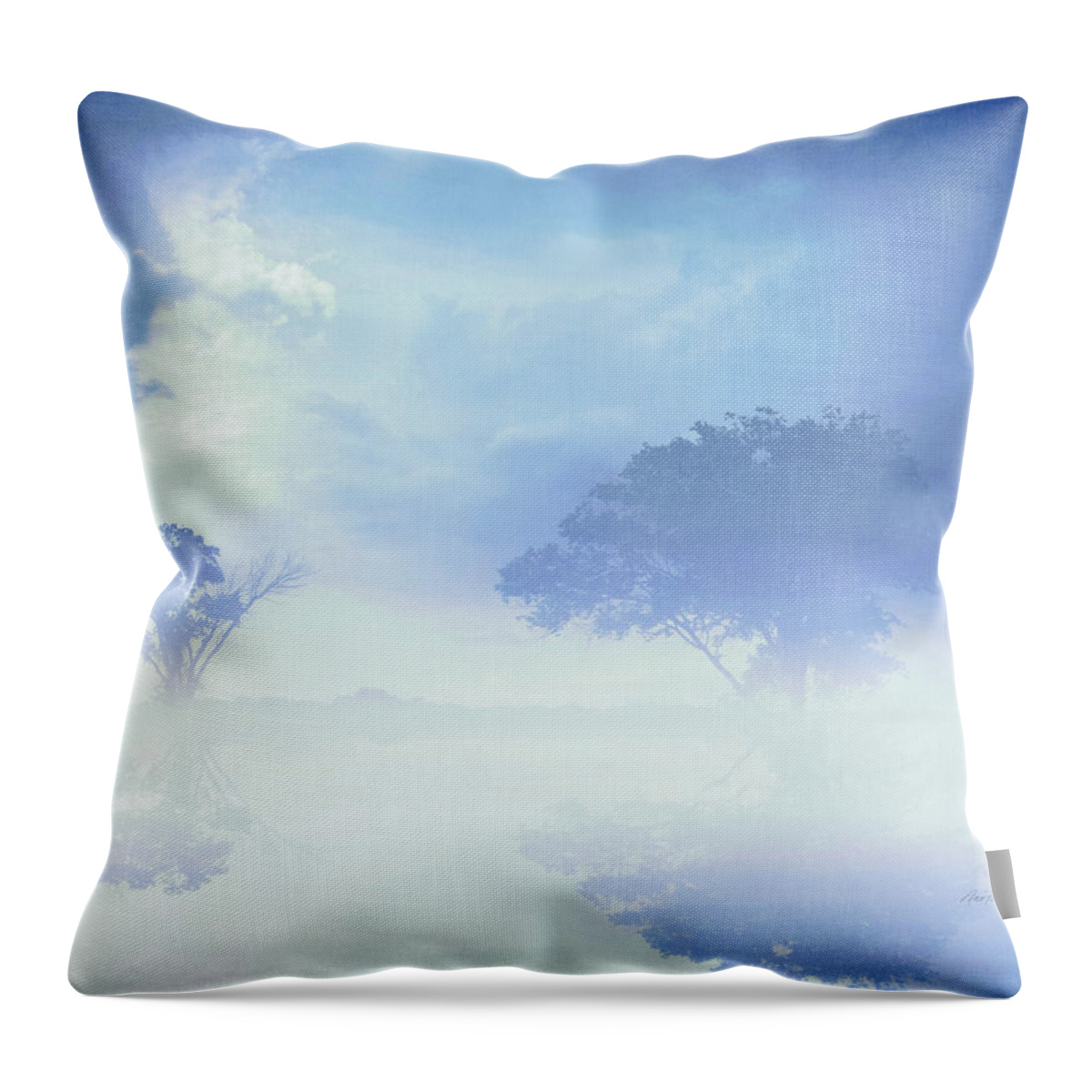 Blue Throw Pillow featuring the photograph Blue Mist Reflections by Ann Powell